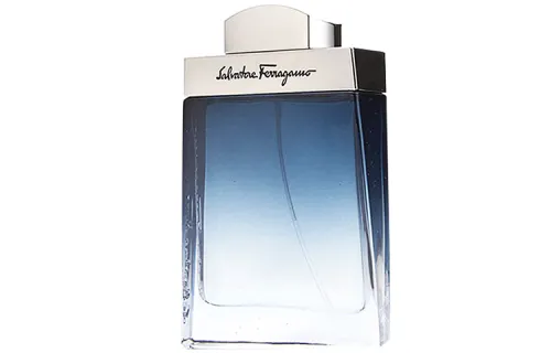 Ferragamo Blue Classic Men's Light