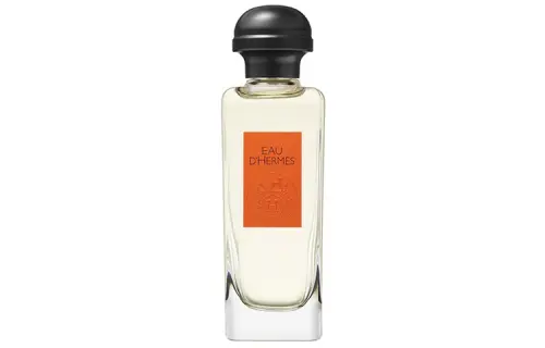 HERMES Classic