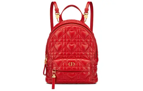 DIOR Backpacks