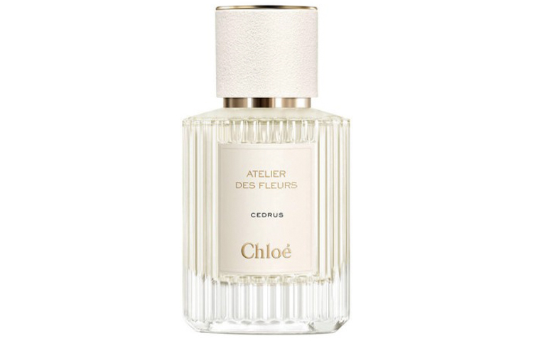 Chloe Northern Cedar Women's Perfume, Fairy Garden Collection Woody Tones Eau De Parfum EDP 50ml/150ml Cosmetics