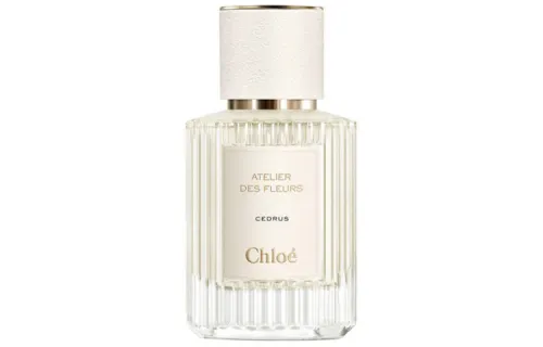 Chloé Chloe Northern Cedar Women's