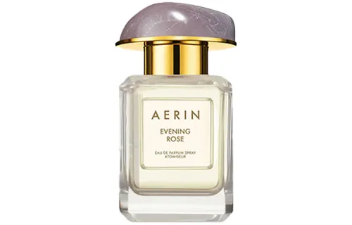 AERIN Celebrity Niche