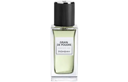 SAINT LAURENT Premium Wardrobe Grain