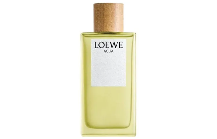 LOEWE Dior Eau De Toilette Perfumes Wooden Woody Scent Eau De Toilette Citrus Black Tea Santalum Album