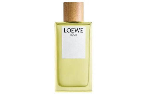 LOEWE Dior