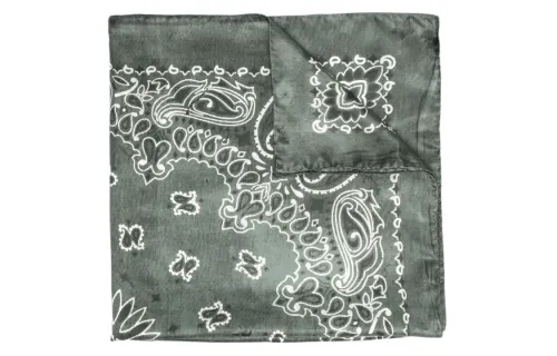 【Previous Season】paisley-pattern silk scarf