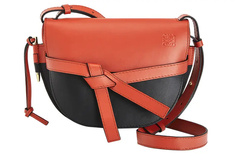 LOEWE Gate Cow Leather Crossbody Bag, Shoulder Bag Women's Multicolor