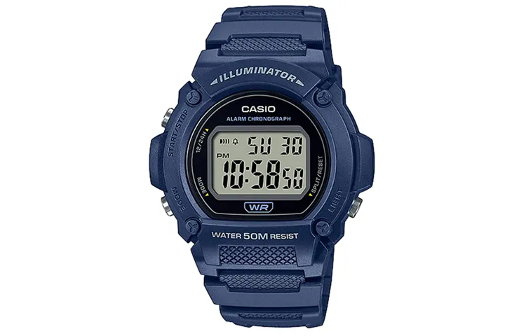 CASIO Men YOUTH Gray Watch W-219H-2AVDF