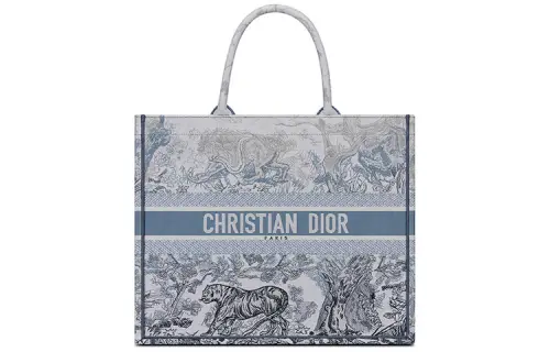 DIOR BookTote Handbags