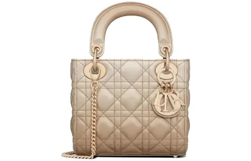 DIOR Lady Dior Metal Accessories Cow Leather Handbag Mini Women's Change To Metal Gray