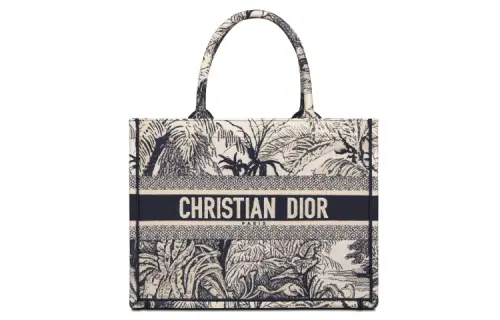 DIOR BookTote Canvas Shoulder Bag, Tote Bag, Shopping Bag, Handbag Small Women's Blue