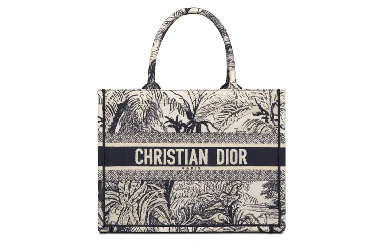 DIOR BookTote Canvas Shoulder Bag, Tote Bag, Shopping Bag, Handbag Small Women's Blue