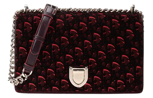DIOR OBLIQUE Shoulder Bags