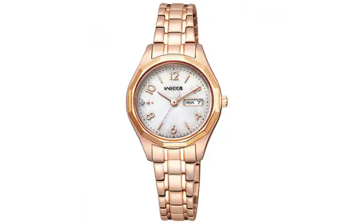 CITIZEN Ecology Drive Collection Light Powered Quartz Movement Stainless Steel Strap Watch