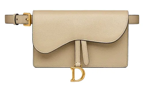 DIOR Saddle Fanny Packs