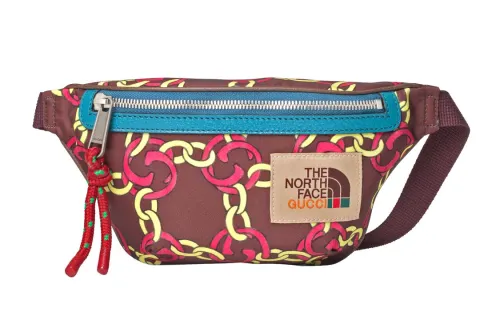 GUCCI The North Face Collaboration Recycled Nylon Fanny Pack Unisex Brown