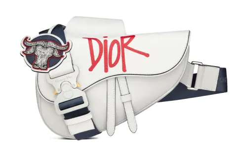 DIOR Saddle Grain Cow Leather Saddle Bag, Shoulder Bag, Crossbody Bag Men's White