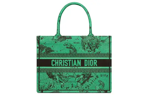 DIOR BookTote Handbags
