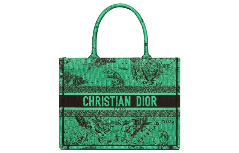 DIOR BookTote Handbags
