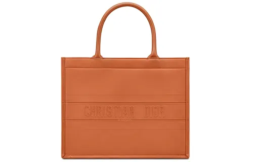 DIOR BookTote Handbags