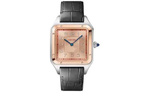 CARTIER SANTOS DE Manual Mechanical Movement 30m Waterproof Men's Watches Watch 46.6*33.9mm Gold Dial