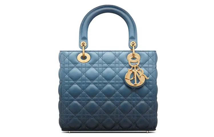 DIOR Handbags