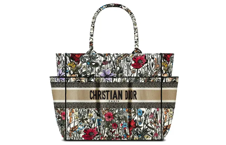 DIOR Canvas Handbag Women's Multicolor/Embroidery