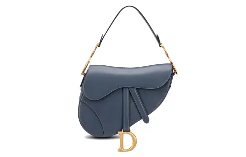 DIOR Saddle Handbags