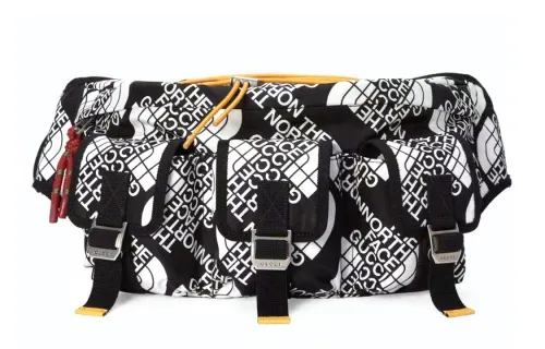 GUCCI THE NORTH FACE The North Face Collaboration Limited Edition Nylon With Leather Combo Sling Bag, Fanny Pack Unisex