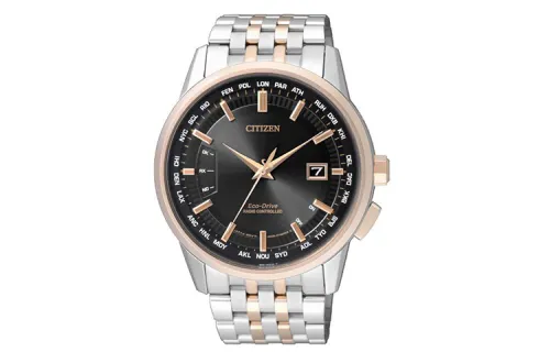 CITIZEN Ecology Drive Collection Light Powered Quartz Movement Stainless Steel Strap Watch