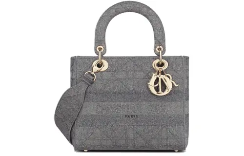 DIOR Lady D Lite Embroidery Handbag Medium Women's Gray