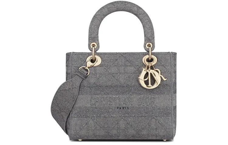 DIOR Lady D Lite Embroidery Handbag Medium Women's Gray