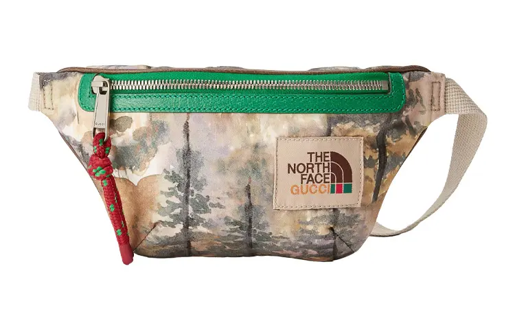 THE NORTH FACE X GUCCI Fanny Packs