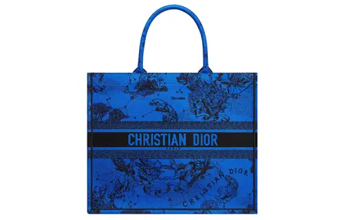 DIOR BookTote Handbags