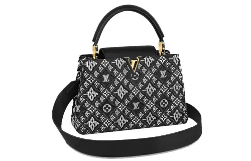 LOUIS VUITTON Capucines Handbags