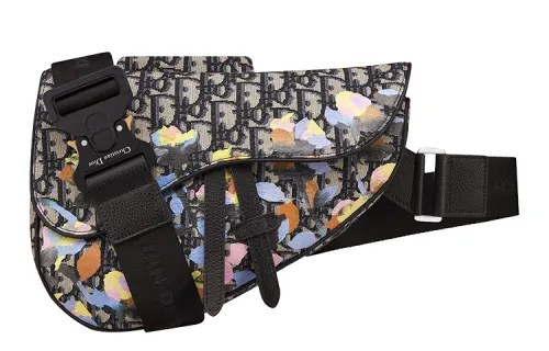 DIOR Saddle Nylon With Leather Saddle Bag, Fanny Pack, Shoulder Bag, Crossbody Bag Men's Multicolor