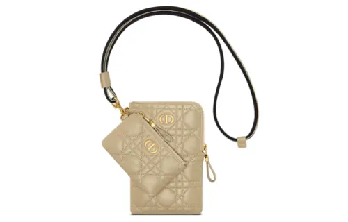 DIOR Caro Series Clutches
