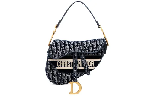 DIOR Saddle Velvet Saddle Bag Handbag, Shoulder Bag Regular Women's Blue