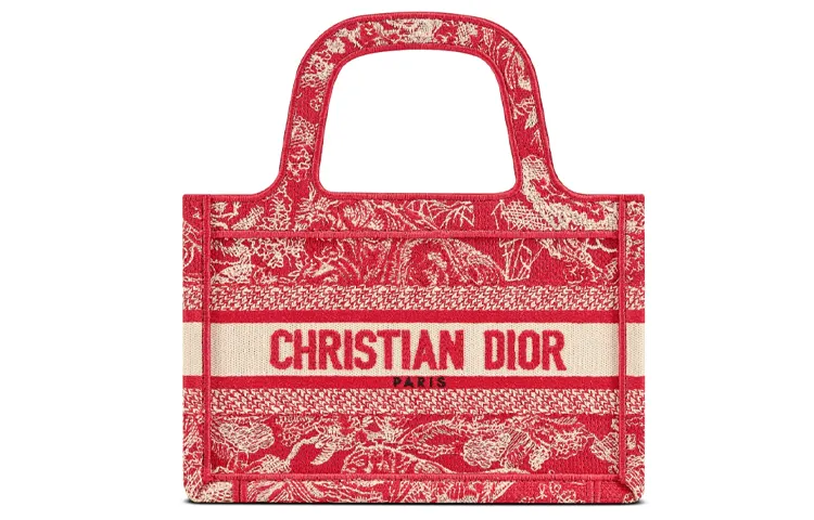 DIOR BookTote Handbags
