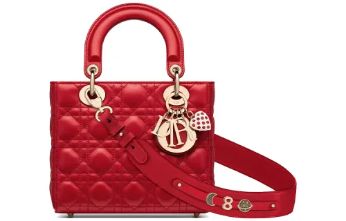 DIOR Lady Dior Handbags