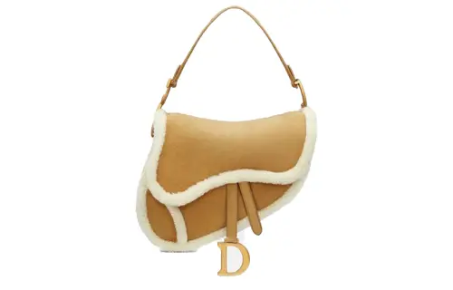 DIOR Saddle Shoulder Bags