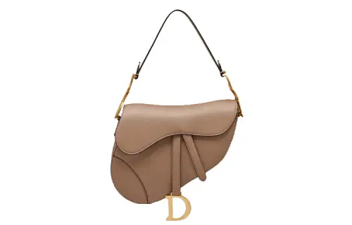 DIOR Saddle Handbags