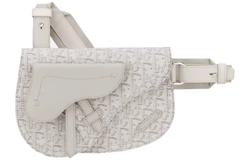 DIOR Saddle Nylon Fabric Saddle Bag, Sling Bag, Fanny Pack, Shoulder Bag, Crossbody Bag Small Unisex Beige