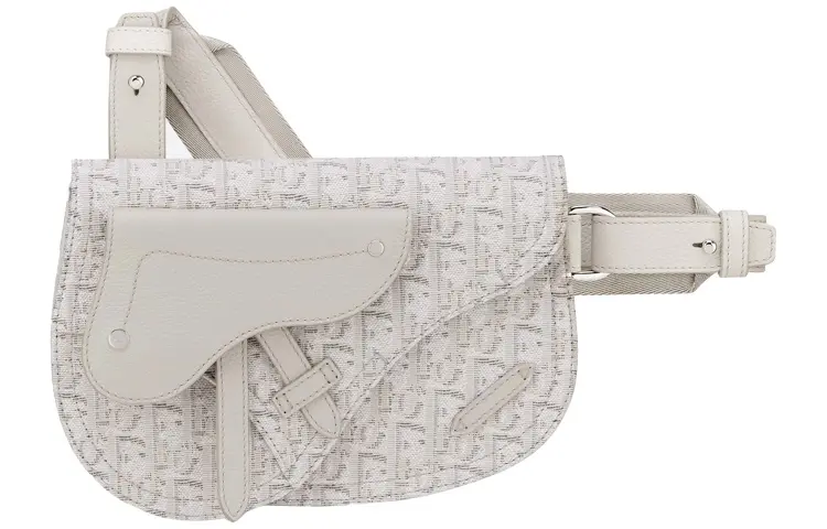 DIOR Saddle Nylon Fabric Saddle Bag, Sling Bag, Fanny Pack, Shoulder Bag, Crossbody Bag Small Unisex Beige