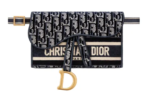 DIOR Saddle Velvet Saddle Bag, Clutch, Crossbody Bag, Fanny Pack Women's Blue