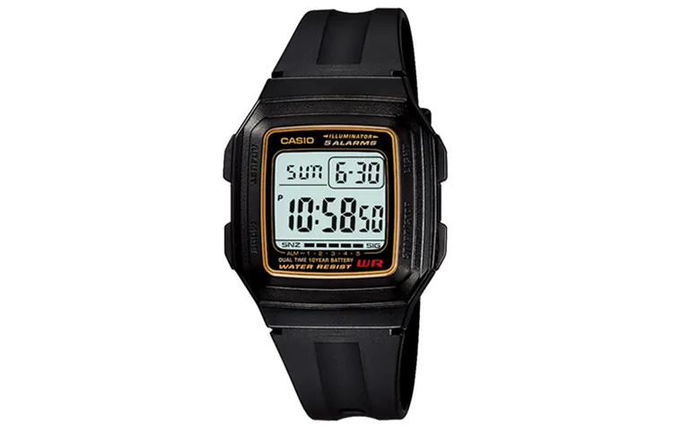 CASIO Men Gray Watch F-201WA-9A