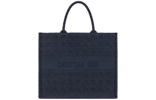DIOR BookTote Handbags