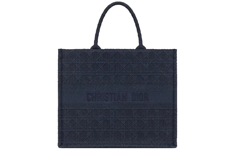 DIOR BookTote Handbags