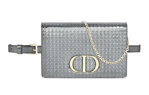 DIOR Fanny Packs