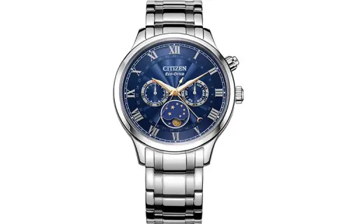 CITIZEN Ecology Drive Collection Light Powered Quartz Movement Stainless Steel Strap Watch